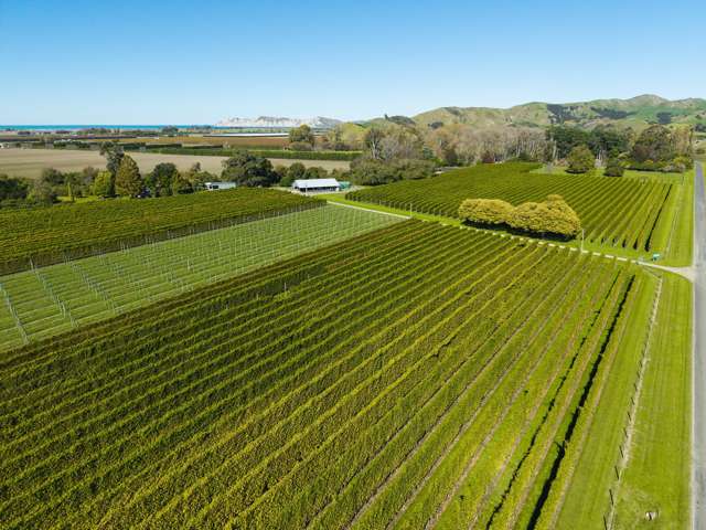 Scale, water, soil - a golden opportunity