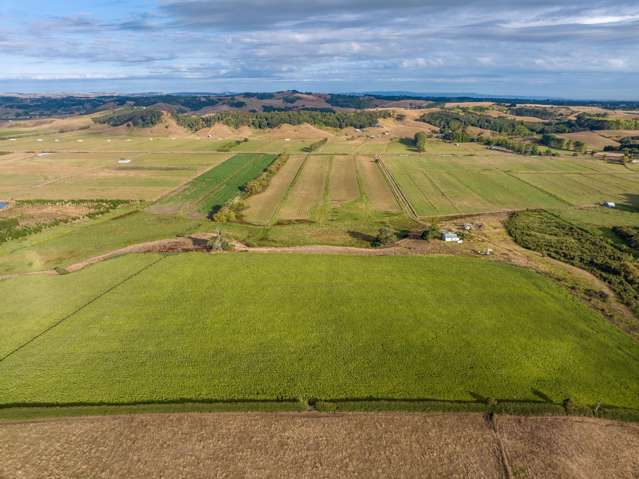 229 Wily Road Puni_1