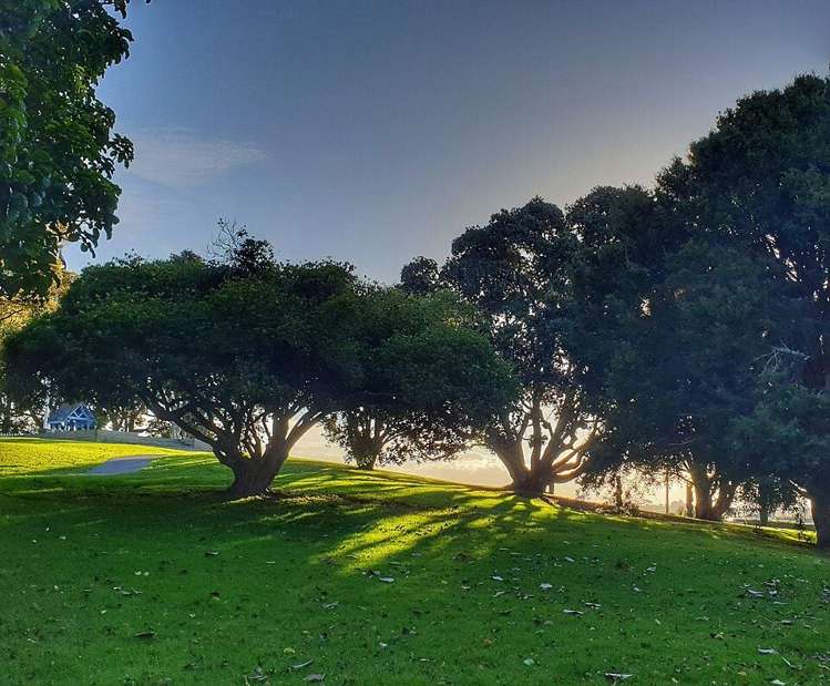 2 Rimu Street Gate Pa_3