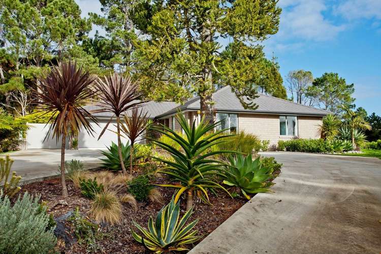 190c Lonely Track Road Dairy Flat_1