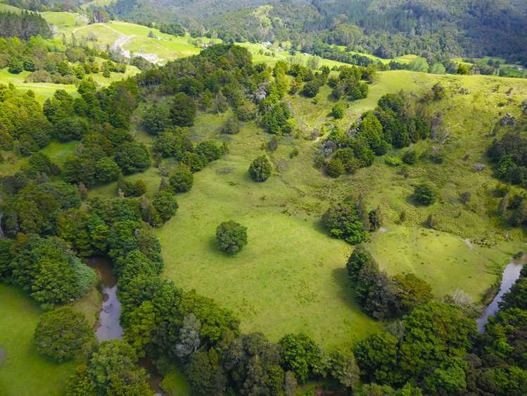 Lot 2 Otangaroa Road Kaeo_6