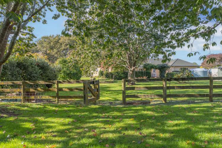 81b Horrell Road Morrinsville_25