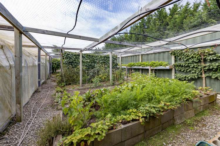 149 Hodgsons Road Loburn_34