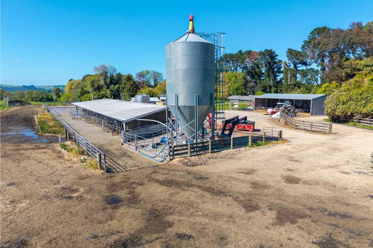 829 Ballance Valley Road Pahiatua_9