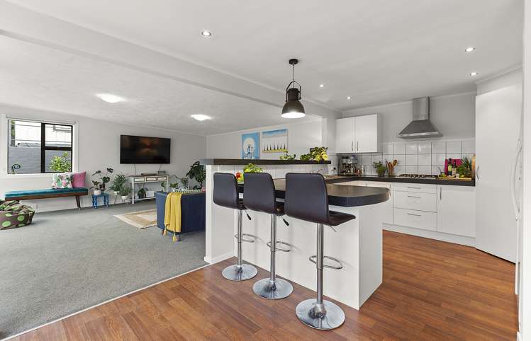 20 Athens Street Miramar_7