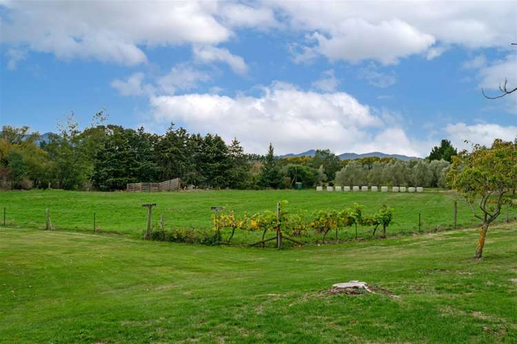 280 Tyntesfield Road Waihopai Valley_3