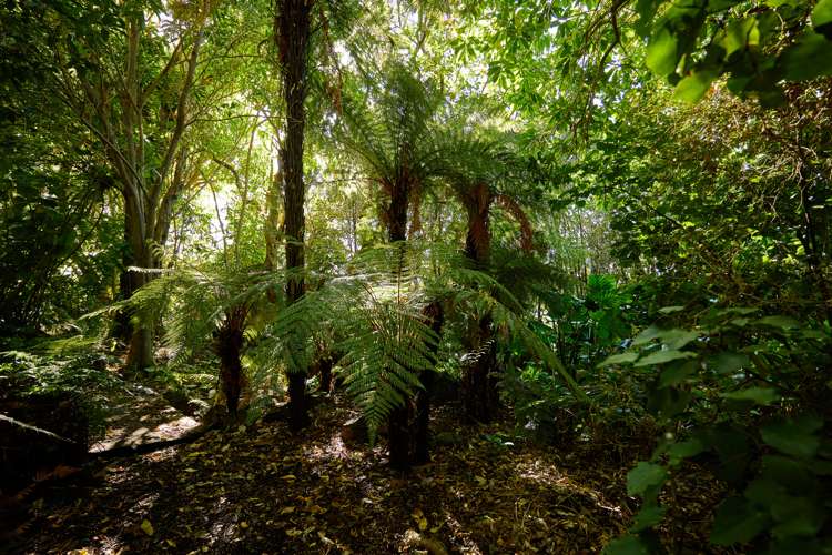 1824 State Highway 1 Oaro_43