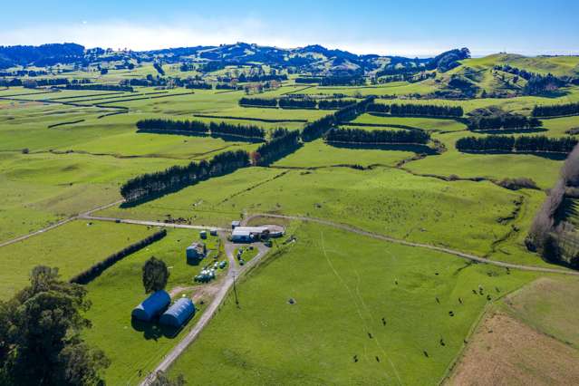 87 Mathers Road Waihi_3