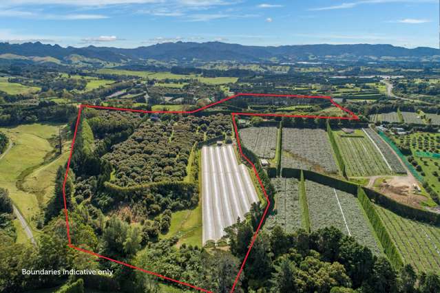 44 Walker Road West Aongatete_2