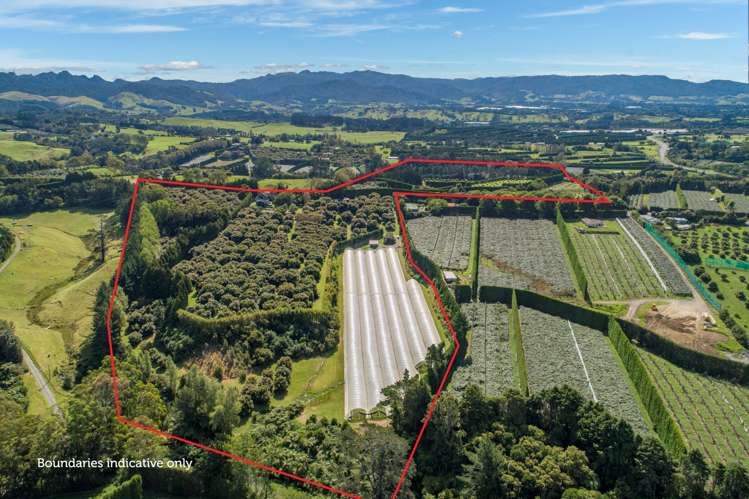 44 Walker Road West Aongatete_2