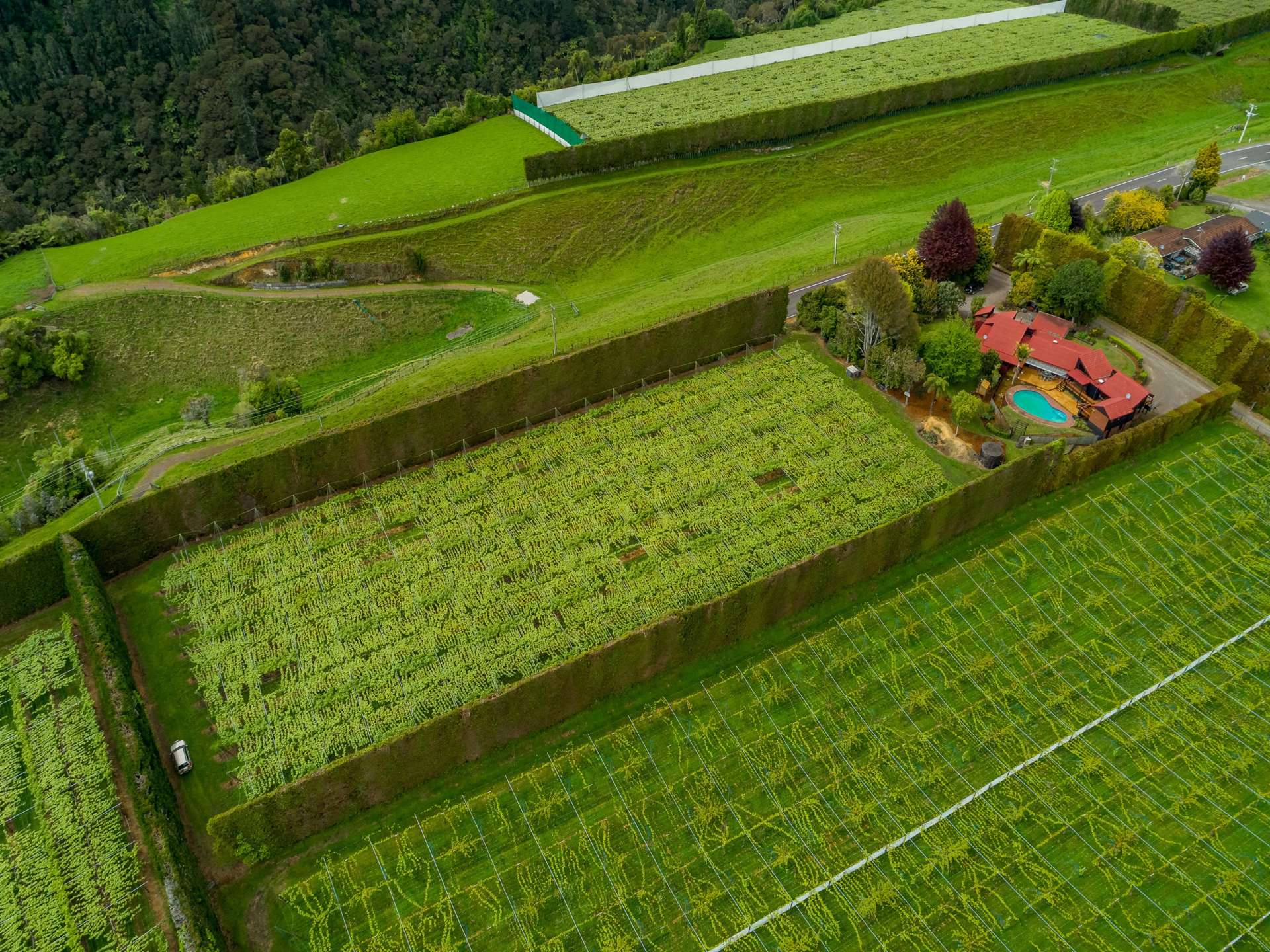 706 No 1 Road Te Puke_0