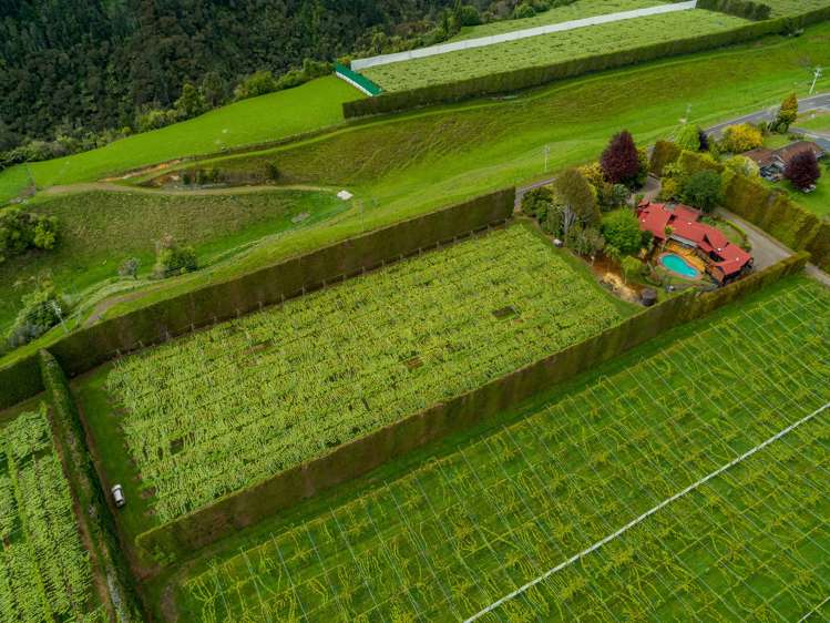 706 No 1 Road Te Puke_0