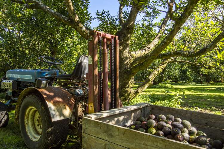 89c Merrick Road Pyes Pa_18