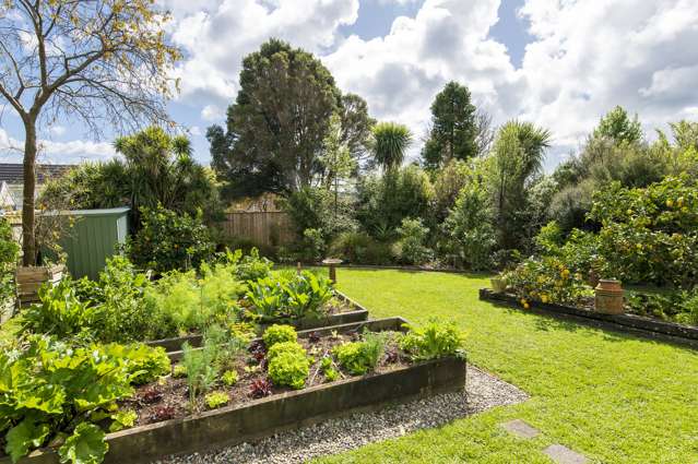 24 Kotare Street Waikanae_4