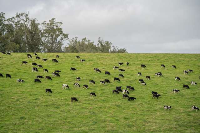 574 Spur Hut Road Temuka_2