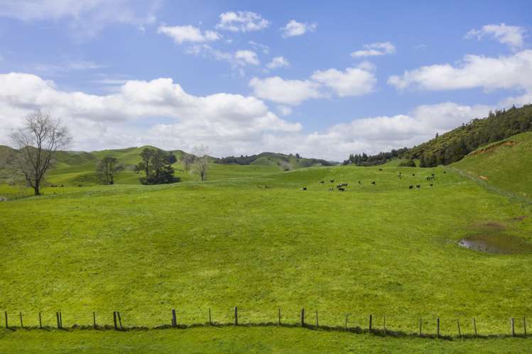 2140 State Highway 4 Aria_5