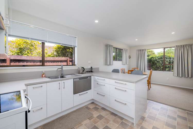 53 Waratah Street Avondale_6