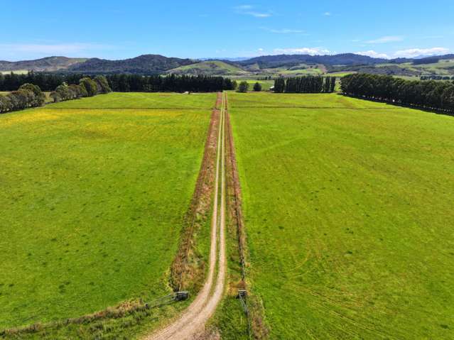 Supplement or Fattening Block with Dairy Grazing