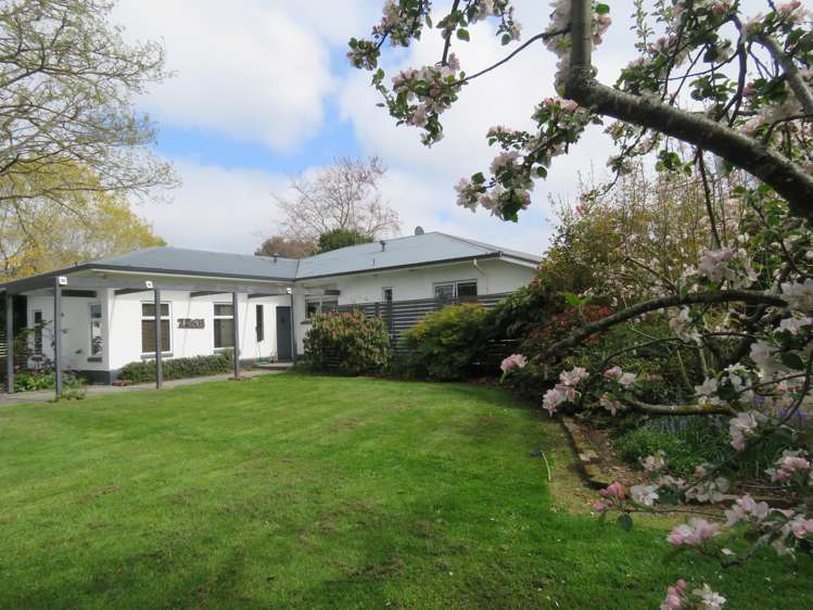 74 School Road Geraldine_20