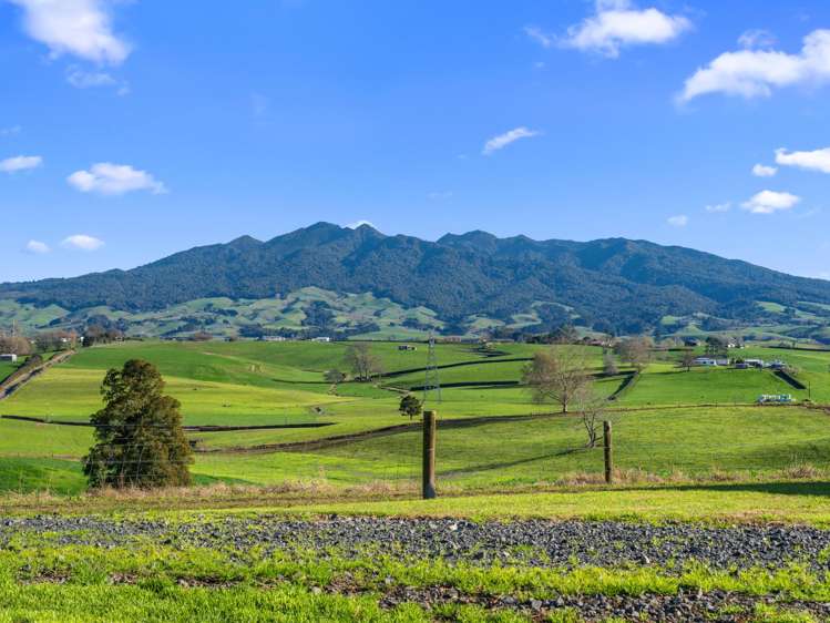 320 Bell Road Pirongia_15