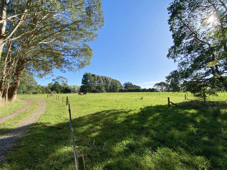 258a Gladstone Road Levin_4