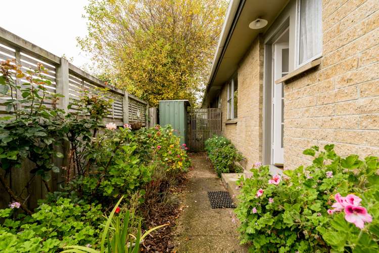 58b Albert Street Saint Clair_10