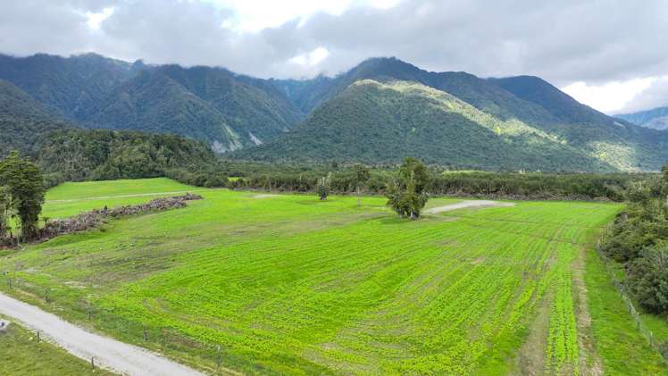 217 Poerua Valley Road Harihari_19