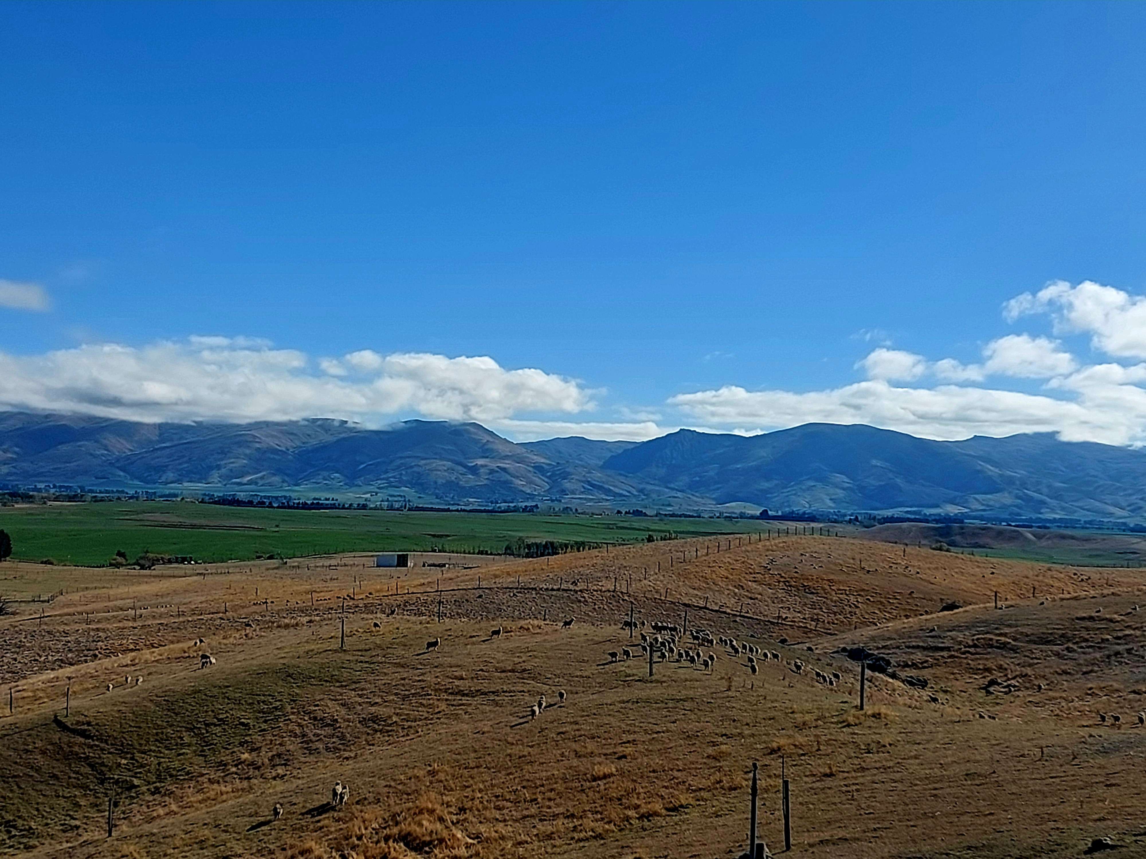 Booth Road Omakau Central Otago Rural Property For Sale One Roof