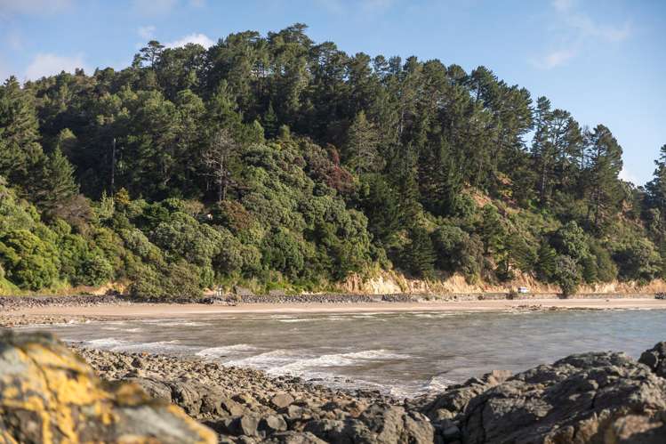 144 Thames Coast Road Thames Coast_18