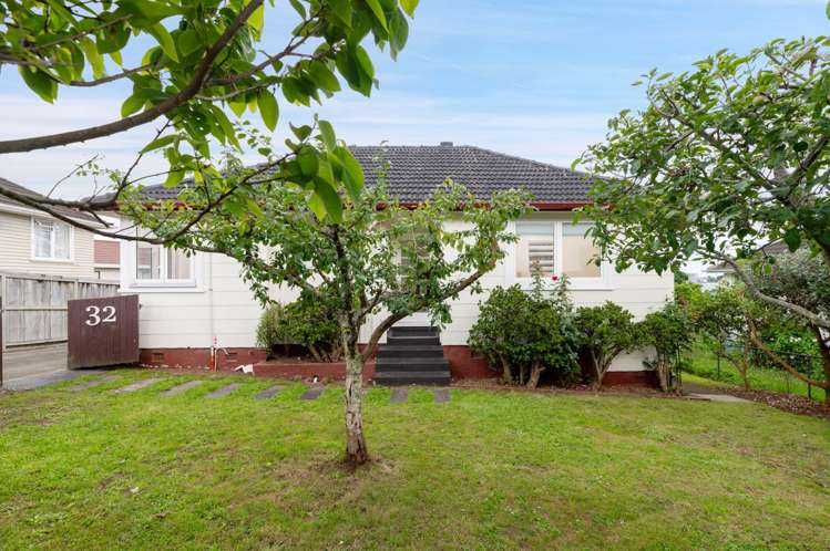 32 Roseman Avenue Mount Roskill_21
