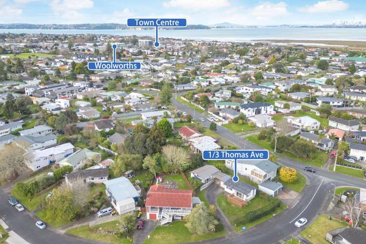 1/3 Thomas Avenue Te Atatu Peninsula_11