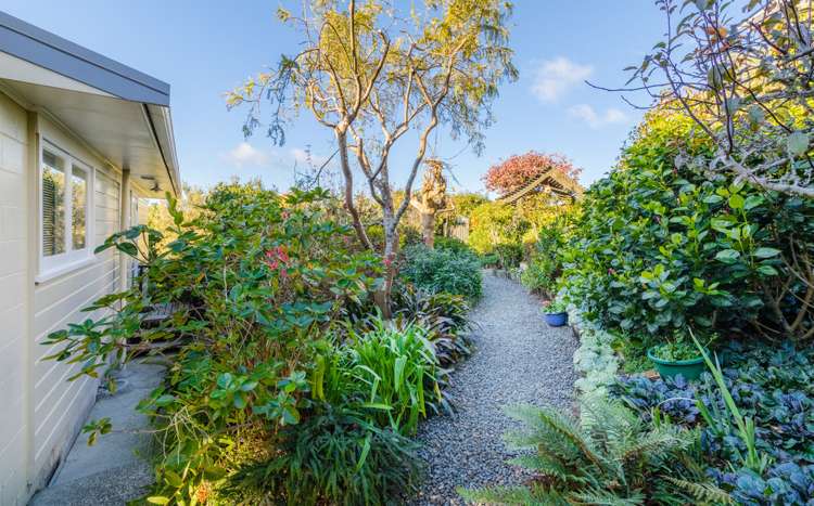 21 Gilliam Street New Lynn_15