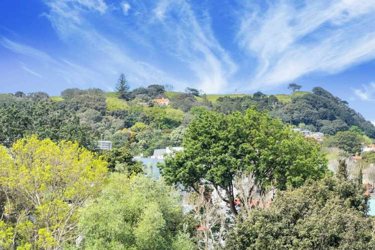 20/1 Akiraho Street Mount Eden_5