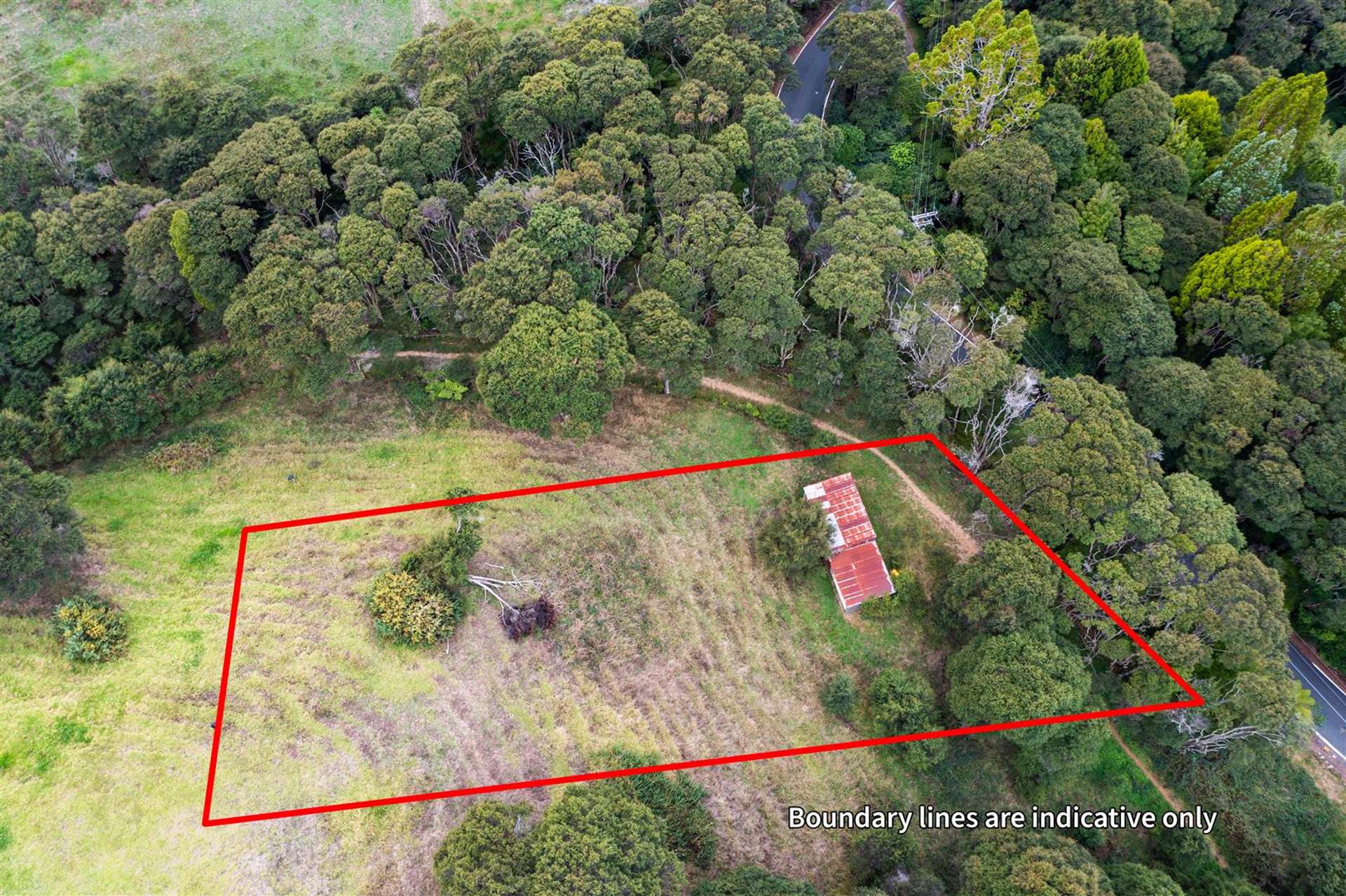 65 Grassmere Road Henderson Valley_0