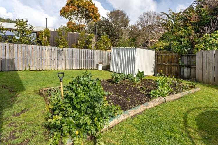 121 Onemana Drive Onemana_19