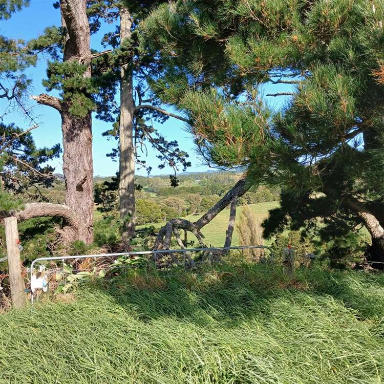 88 Rapson Road Waitoki_25