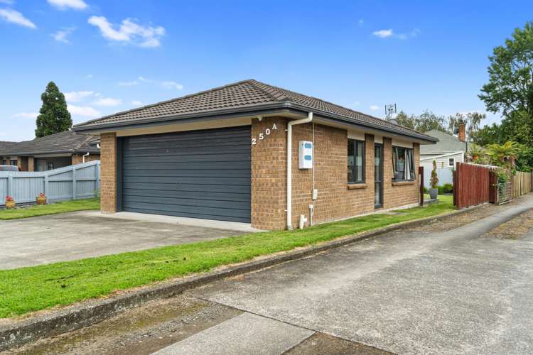 250A Mangapiko Street Te Awamutu_23
