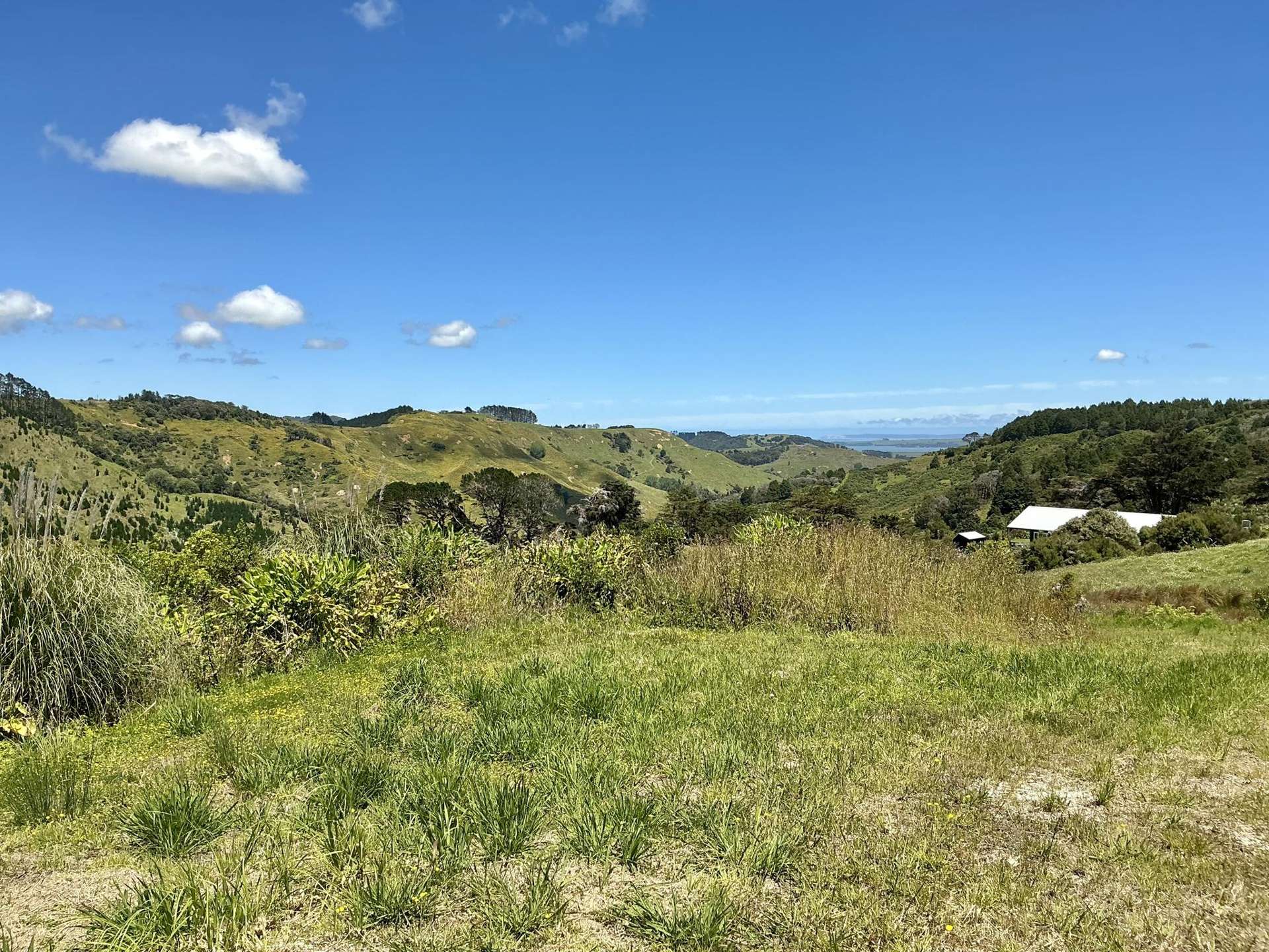 103 Dill Road Kaipara Flats_0