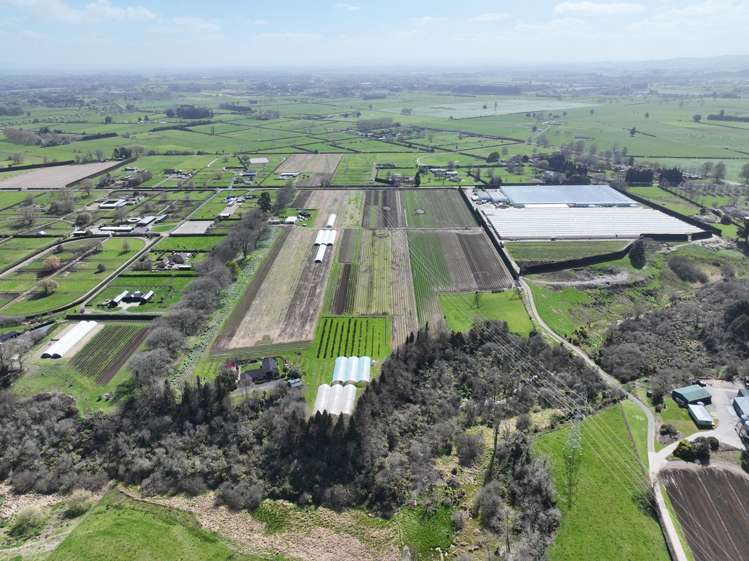 473 Bruntwood Road Tamahere_2