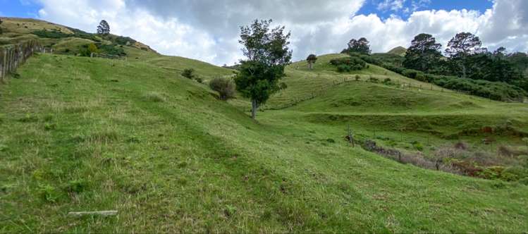 131a Savage Road Waihi_5