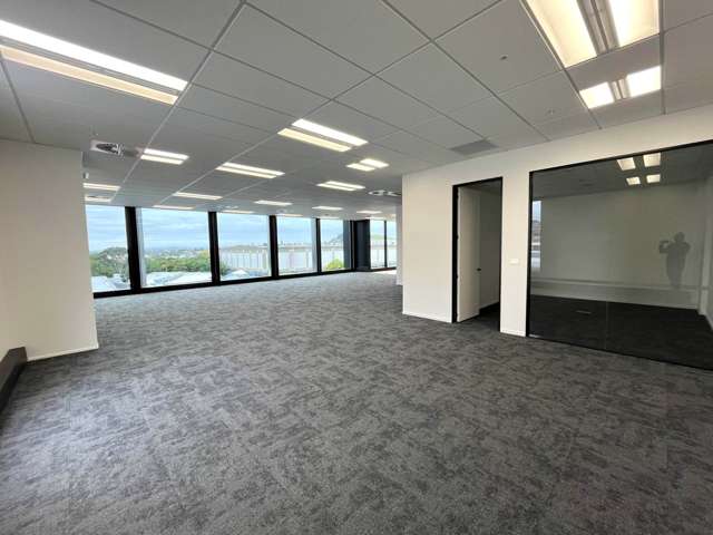 110 Carlton Gore Road Newmarket_3