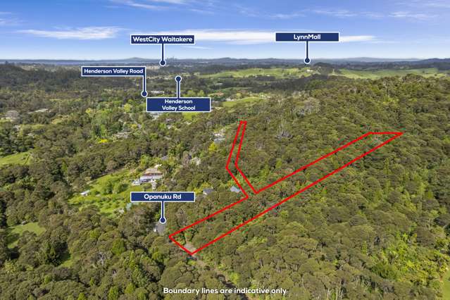 60 Opanuku Road Henderson Valley_1