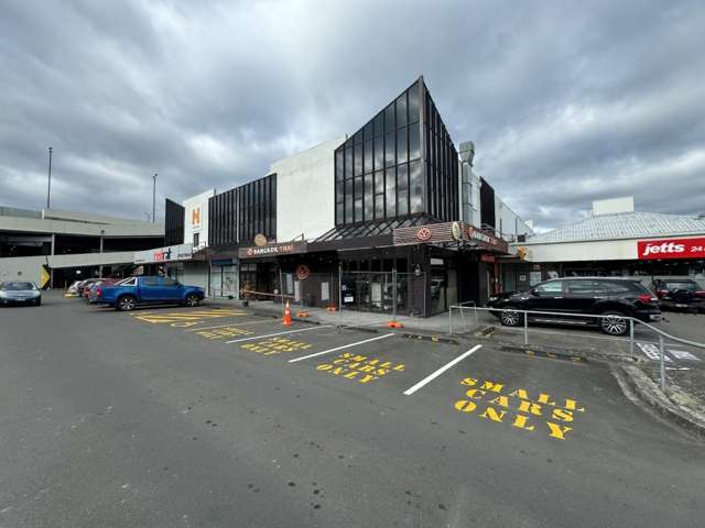 85-89 Fitzherbert Avenue City Centre_4