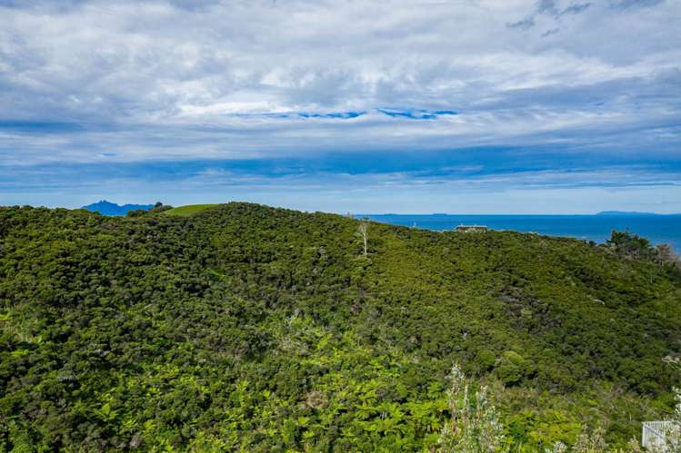 24 Seacoast Road Mangawhai Heads_8