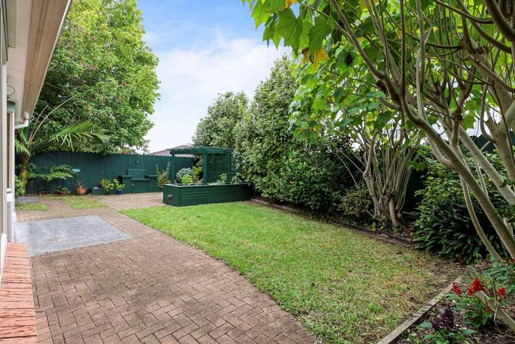 5a Pine Street New Lynn_14