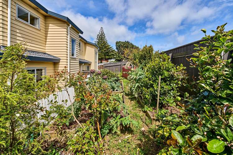 10 Pohutukawa Grove Titahi Bay_17