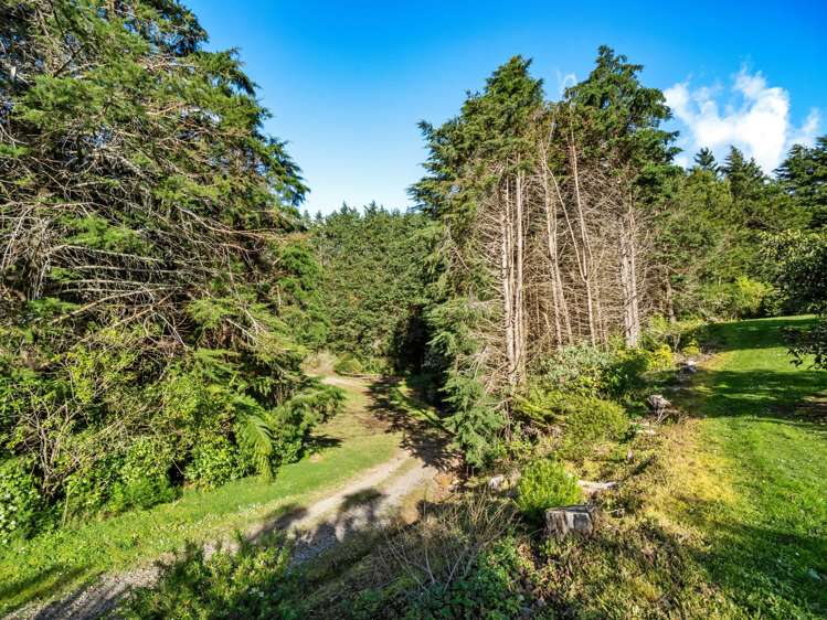 237B Busby Road Katikati_24