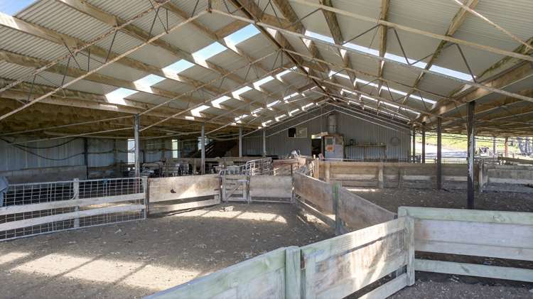 136 Ranganui Road Kaiwaka_31