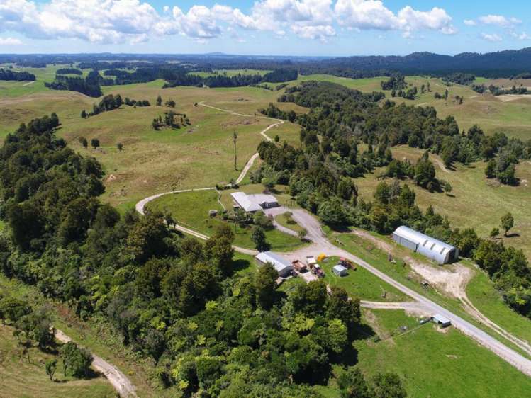 627 South Road Mamaku_3