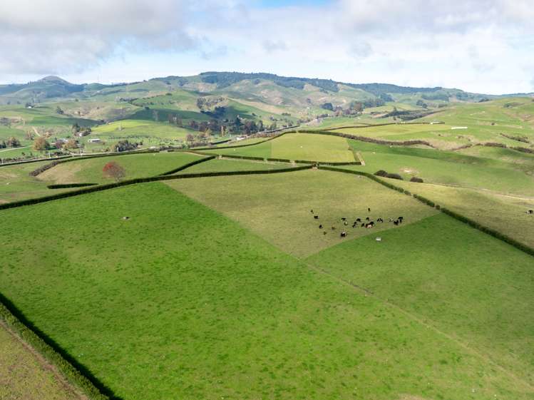 376 Starkey Road Morrinsville_18